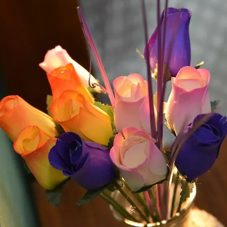 Bed & Breakfast I Villini Fiumicino